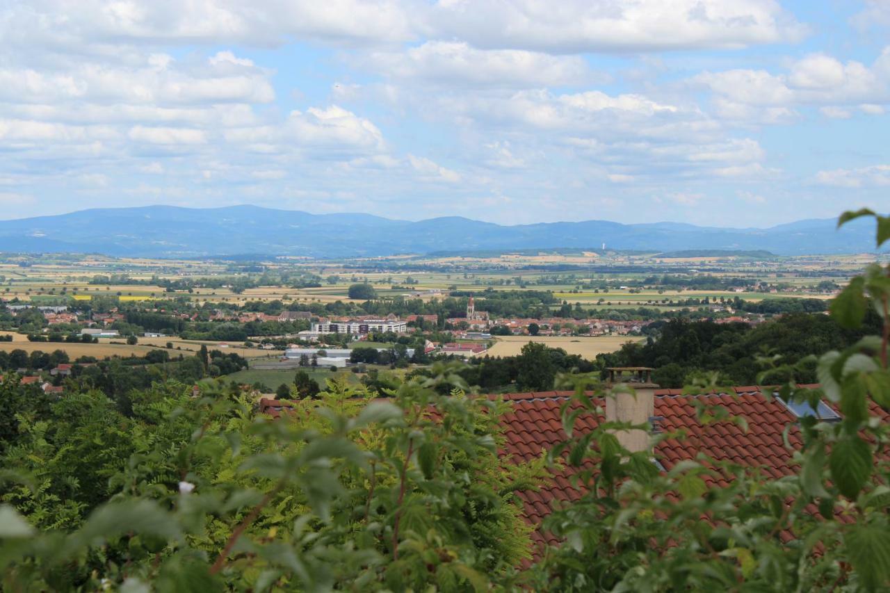 LES MONNATS GITE 8 personnes à la campagne Chaptuzat Exterior foto